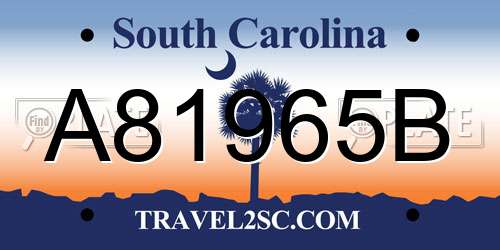 A81965B South Carolina License Plate