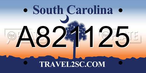 A821125 South Carolina License Plate
