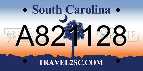 A821128 South Carolina License Plate