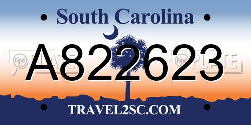 A822623 South Carolina License Plate