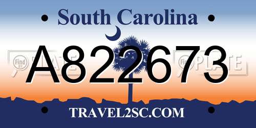 A822673 South Carolina License Plate
