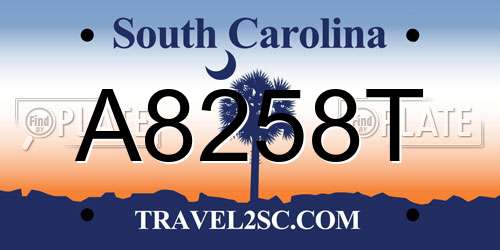 A8258T South Carolina License Plate