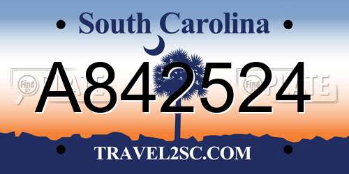 A842524 South Carolina License Plate