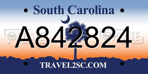 A842824 South Carolina License Plate