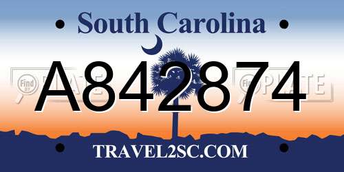 A842874 South Carolina License Plate