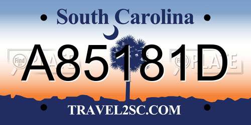 A85181D South Carolina License Plate
