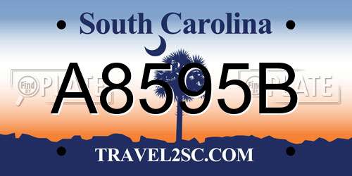 A8595B South Carolina License Plate
