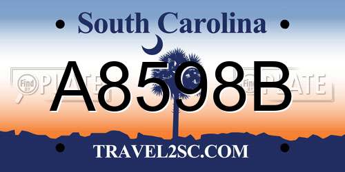 A8598B South Carolina License Plate