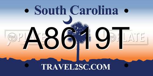 A8619T South Carolina License Plate
