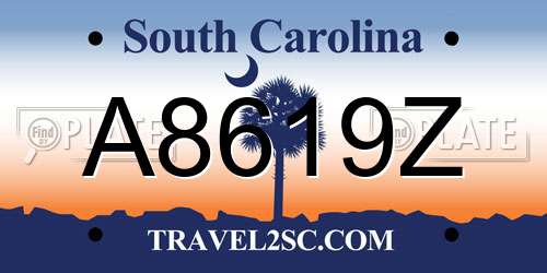 A8619Z South Carolina License Plate