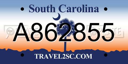 A862855 South Carolina License Plate