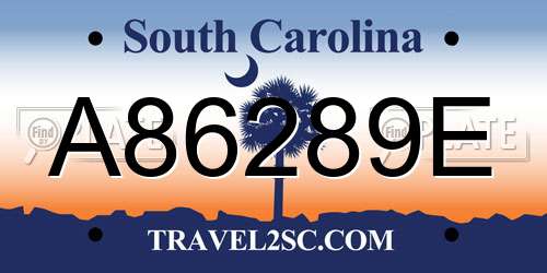A86289E South Carolina License Plate