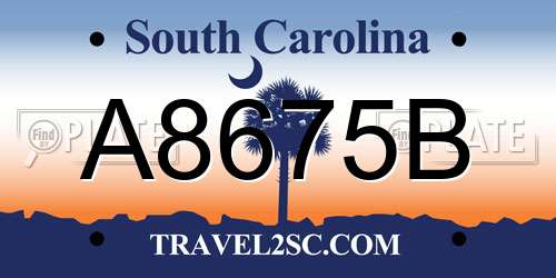 A8675B South Carolina License Plate