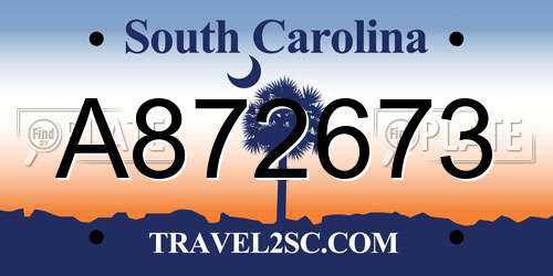A872673 South Carolina License Plate