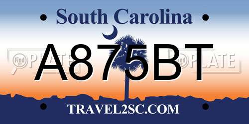 A875BT South Carolina License Plate