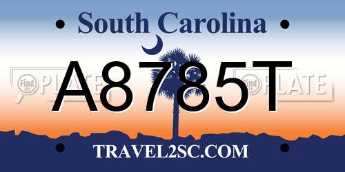 A8785T South Carolina License Plate