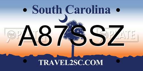 A87SSZ South Carolina License Plate