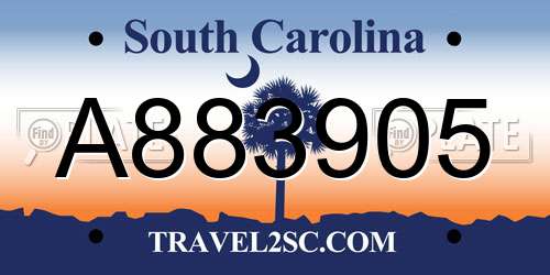 A883905 South Carolina License Plate