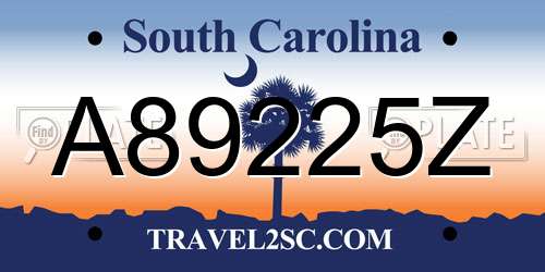 A89225Z South Carolina License Plate