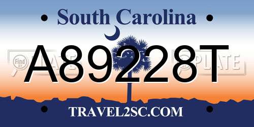 A89228T South Carolina License Plate