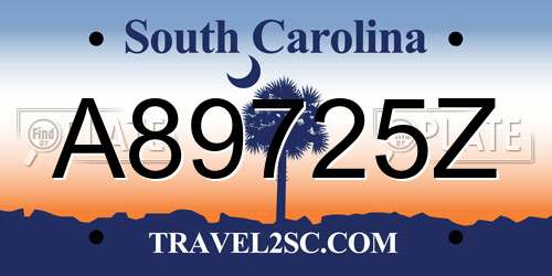 A89725Z South Carolina License Plate