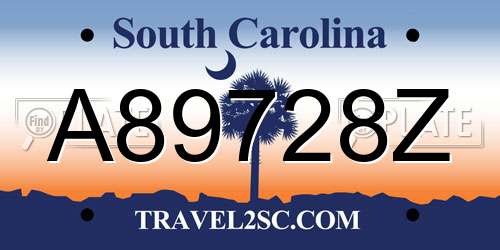 A89728Z South Carolina License Plate