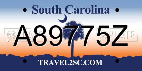 A89775Z South Carolina License Plate