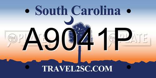 A9041P South Carolina License Plate