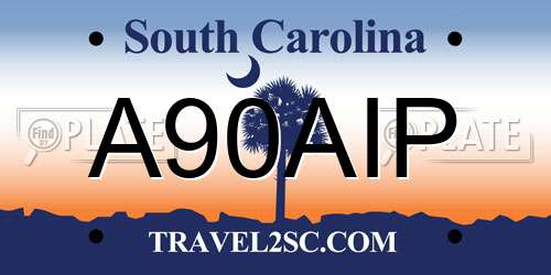 A90AIP South Carolina License Plate