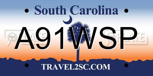 A91WSP South Carolina License Plate