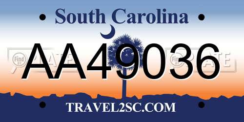 AA49036 South Carolina License Plate
