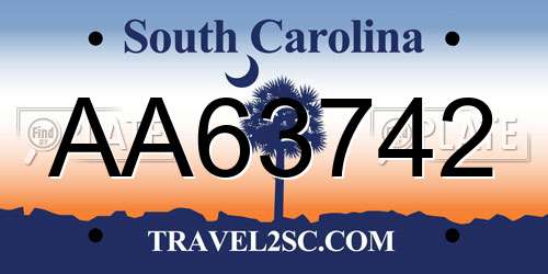 AA63742 South Carolina License Plate