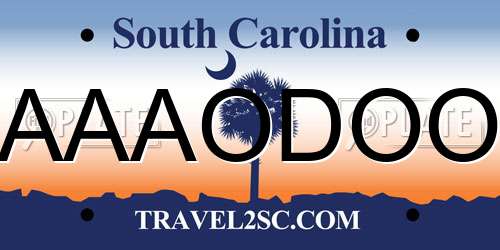 AAAODOO South Carolina License Plate