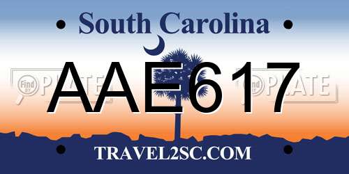 AAE617 South Carolina License Plate