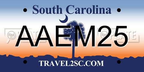 AAEM25 South Carolina License Plate