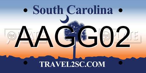 AAGG02 South Carolina License Plate