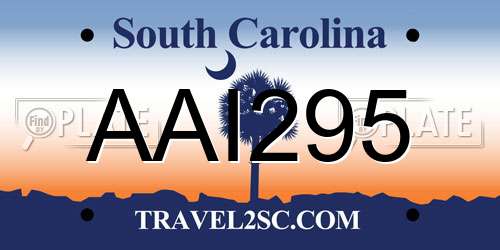 AAI295 South Carolina License Plate