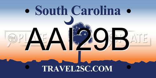 AAI29B South Carolina License Plate