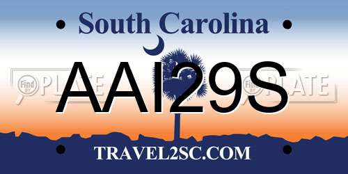 AAI29S South Carolina License Plate
