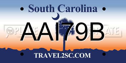 AAI79B South Carolina License Plate