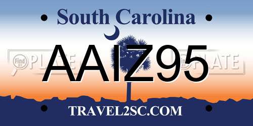 AAIZ95 South Carolina License Plate