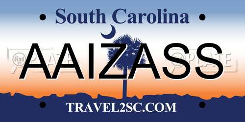 AAIZASS South Carolina License Plate