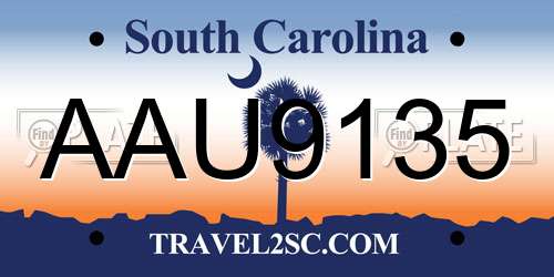 AAU9135 South Carolina License Plate