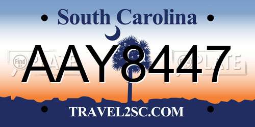 AAY8447 South Carolina License Plate