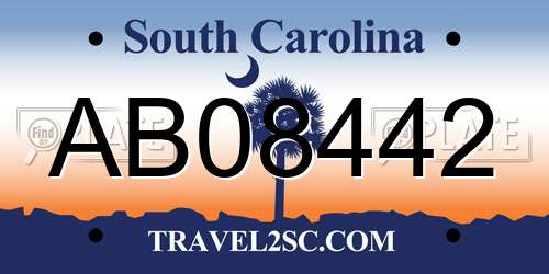 AB08442 South Carolina License Plate