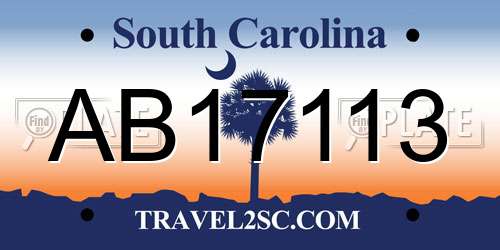 AB17113 South Carolina License Plate