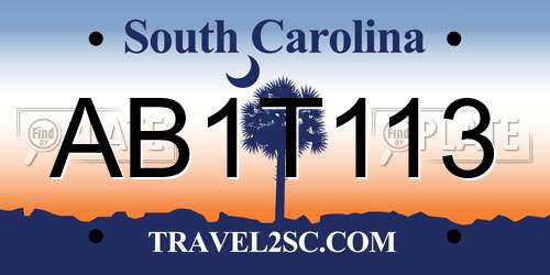 AB1T113 South Carolina License Plate