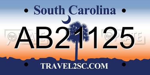 AB21125 South Carolina License Plate