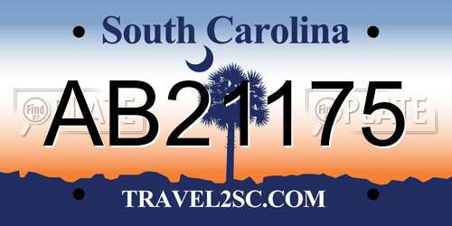 AB21175 South Carolina License Plate