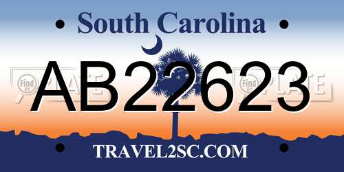 AB22623 South Carolina License Plate